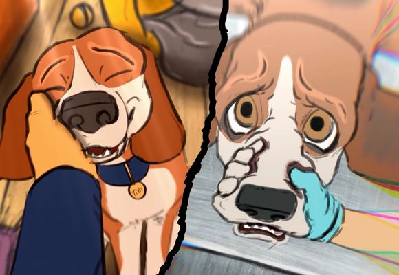 Watch our new campaign film: ‘A Tail of Two Dogs’