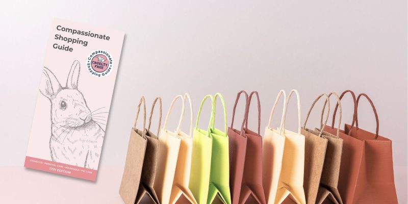 The Compassionate Shopping Guide alongside a line of shopping bags.